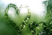 世预赛排行榜是如何影响球队晋级之路的？